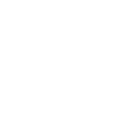 Musico